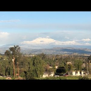 Meet your Posher, Gilbert